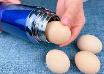 Mettre des œufs dans un thermos, c’est vraiment incroyable. Je ne savais pas que c’était aussi efficace. Essayez-le vite !