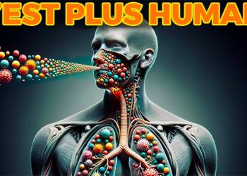 92% de votre ADN vient de vos parents. 8% provient maintenant de…