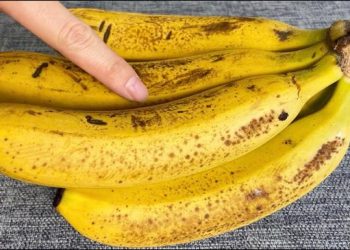 Les bananes noircissent en deux jours, mais le propriétaire de la boutique de fruits m’a appris une astuce pour les garder fraîches pendant deux semaines.