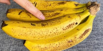 Les bananes noircissent en deux jours, mais le propriétaire de la boutique de fruits m’a appris une astuce pour les garder fraîches pendant deux semaines.