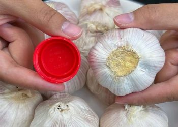 Il s’avère que peler l’ail est si simple : il suffit d’un seul bouchon de bouteille. En une minute, vous pouvez peler une grande quantité sans effort