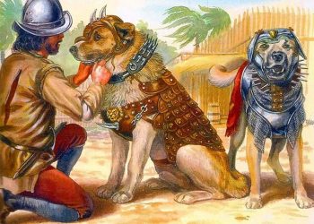 Becerrillo : le chien de guerre terrifiant des conquistadors espagnols