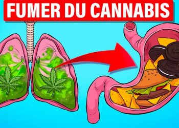 Ce qui arrive à votre corps lorsque vous fumez du cannabis