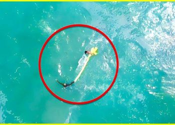 Un drone fait une découverte glaçante au milieu de l’océan par accident !