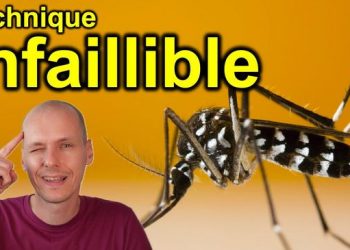 Fais ça et les moustiques ne te piqueront plus JAMAIS !