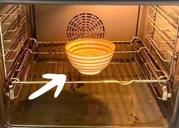 L’astuce du bol pour nettoyer le four sans effort, même la saleté incrustée disparait