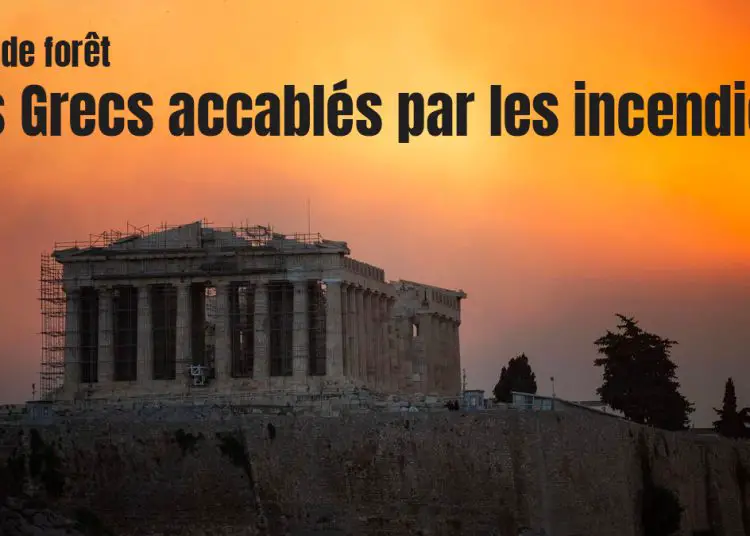 Feux de forêt : Les Grecs accablés par les incendies