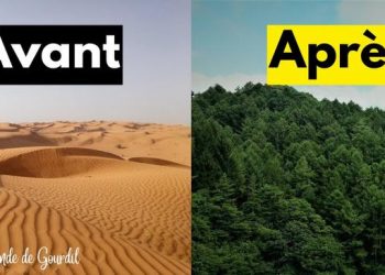 La Chine transforme un désert en forêt !