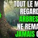 Les arbres parlent ! Lorsque vous passerez près d’un arbre, remarquez ces détails…