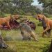 De nouveaux indices génétiques révèlent que les Loups Géants n’étaient pas réellement des loups