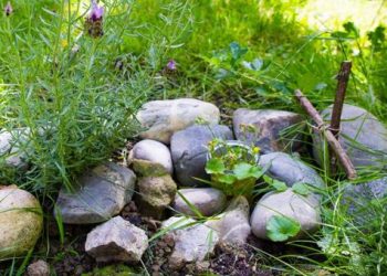 Peut-on enterrer son animal dans le jardin ?