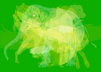 Test : le premier animal que vous voyez révèle le genre de personne que vous êtes