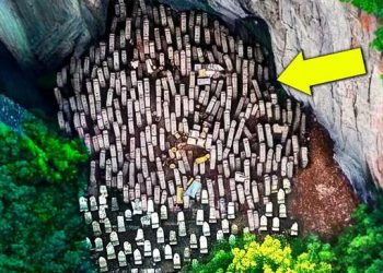 Un drone fait une découverte glaçante dans la vallée, personne n’était censé voir cela !