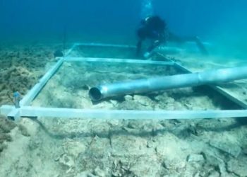 Une route en pierre découverte au fond de la Méditerranée, 7000 ans après sa construction