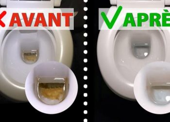 Comment nettoyer et blanchir ses WC facilement !