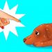 12 choses nocives que vous faites à votre chien sans vous en rendre compte