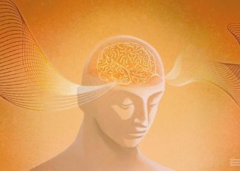 La conscience peut-elle exister sans cerveau  ?