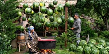 Guimauve à la pastèque : une friandise naturelle à faire soi-même 🍉 (vidéo)