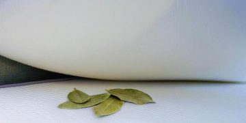 Pourquoi faut-il glisser une feuille de laurier sous son oreiller ?