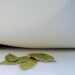 Pourquoi faut-il glisser une feuille de laurier sous son oreiller ?