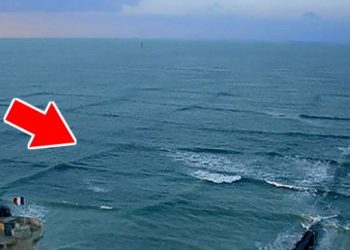 Si vous voyez des vagues carrées à la surface de l’eau … éloignez-vous et prévenez vite les autres !