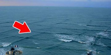 Si vous voyez des vagues carrées à la surface de l’eau … éloignez-vous et prévenez vite les autres !