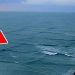 Si vous voyez des vagues carrées à la surface de l’eau … éloignez-vous et prévenez vite les autres !