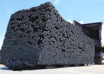 Pourquoi les États-Unis inondent-ils la Floride avec des millions de moustiques génétiquement modifiés ?