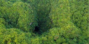 Un gouffre immense découvert en Chine et abritant une forêt vierge