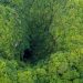 Un gouffre immense découvert en Chine et abritant une forêt vierge
