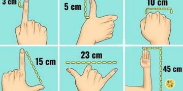 4 méthodes pour mesurer les objets sans utiliser un mètre