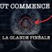Glande pinéale : explication détaillée (j’aurais aimé savoir ça plus tôt)