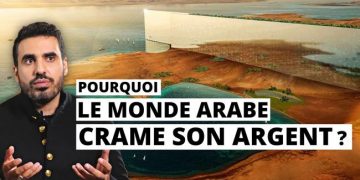 Pourquoi le monde Arabe déconne avec son argent ? | Idriss Aberkane