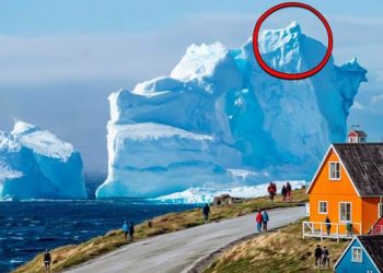 Moments extrêmement rares de la nature