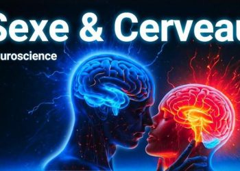 Que fait votre cerveau avant, pendant et après le sexe ?