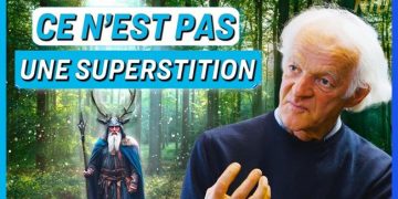 Les arbres ont-ils la faculté de penser ? – Quand la science prouve ce que les Anciens savaient déjà