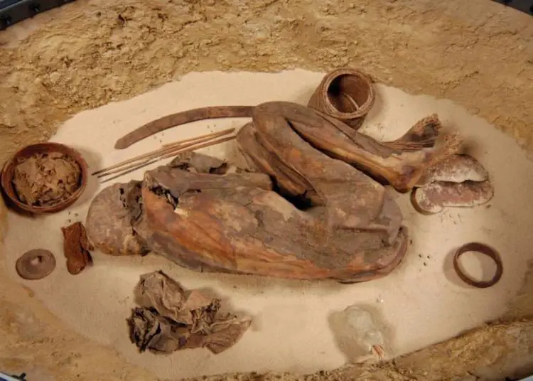 Une momie vieille de 5600 ans bouleverse nos connaissances sur l’embaumement égyptien