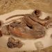 Une momie vieille de 5600 ans bouleverse nos connaissances sur l’embaumement égyptien