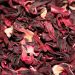 Hibiscus sabdariffa, ou roselle, la plante pour lutter contre les effets de la chaleur et l’hypertension