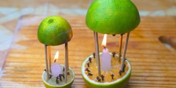 Avec ce remède, non seulement vous parfumerez votre maison, mais les moustiques ne reviendront jamais