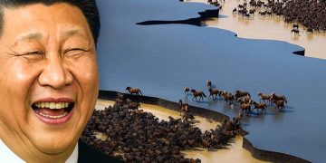 Ils ont relâché un troupeau de chevaux éteints dans le désert chinois… Ce qui s’est passé a bouleversé les biologistes