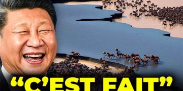 Ils ont relâché un troupeau de chevaux disparus dans le désert chinois… Ce qui s’est passé ensuite a choqué les biologistes