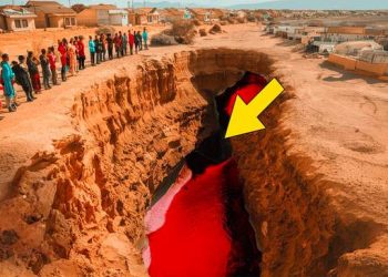 Nouvel océan en formation en Afrique | Même les scientifiques ne peuvent expliquer ce que cela signifie pour le monde