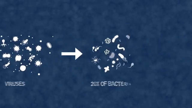 Animation des virus tuant les bactéries dans l'océan
