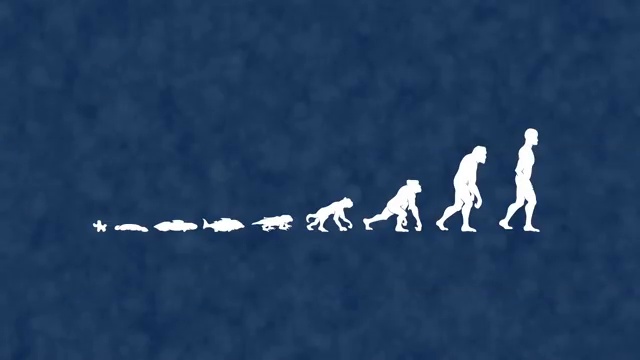 Frise chronologique de l'évolution des espèces