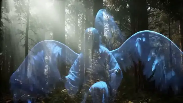 Vision de la femme ailée dans la forêt