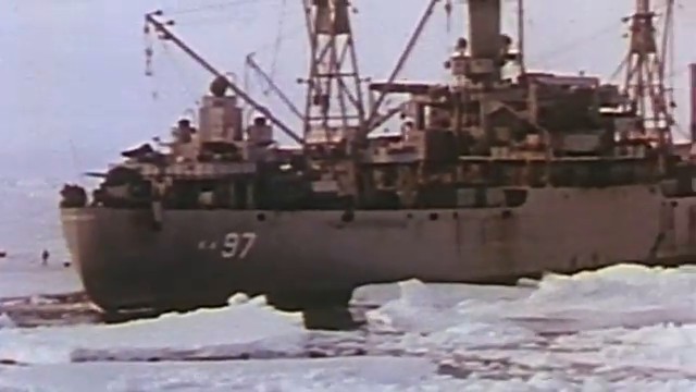 Flotte de navires de l'Opération Highjump en Antarctique