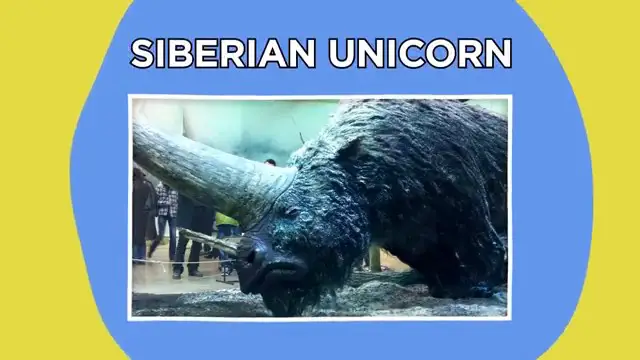 Reconstitution de la licorne sibérienne (Elasmotherium)