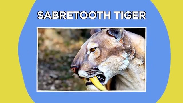 Tigre à dents de sabre (Smilodon) rugissant