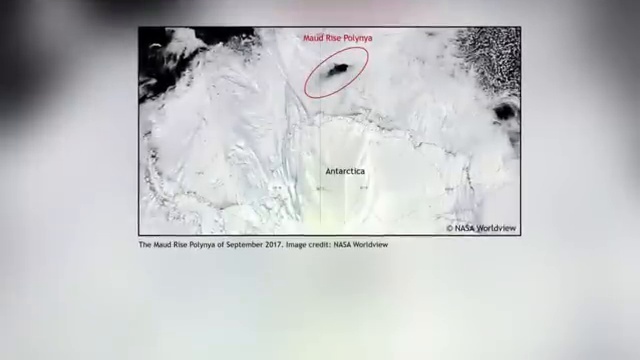 Vue satellite de la polynie de Maud Rise, un immense trou sombre au milieu de la banquise blanche.